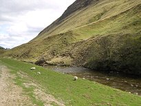 The River Tilt near Forest Lodge The River Tilt near Forest Lodge